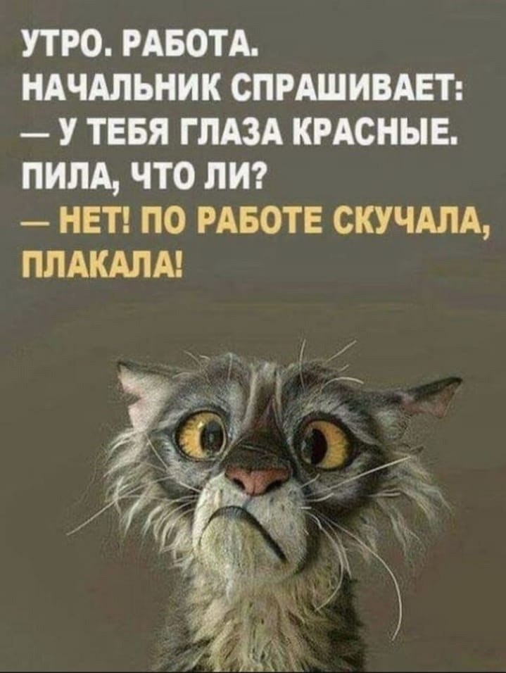  - 28  2025  06:27