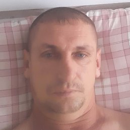 ����, �������, 41 ���