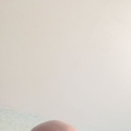 , 45, 