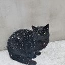 ���� �������, ����������� - ��������� 12 ������ 2025 � ������ ������ ��������