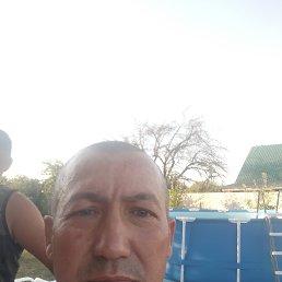 , 45, 