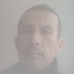 �������, ������, 48 ���