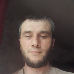 , 34 , 