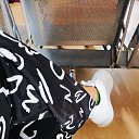 ���� Linda, ������������, 26 ��� - ��������� 8 ����� 2026 � ������ ���� ����������