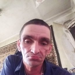 , 41 , 