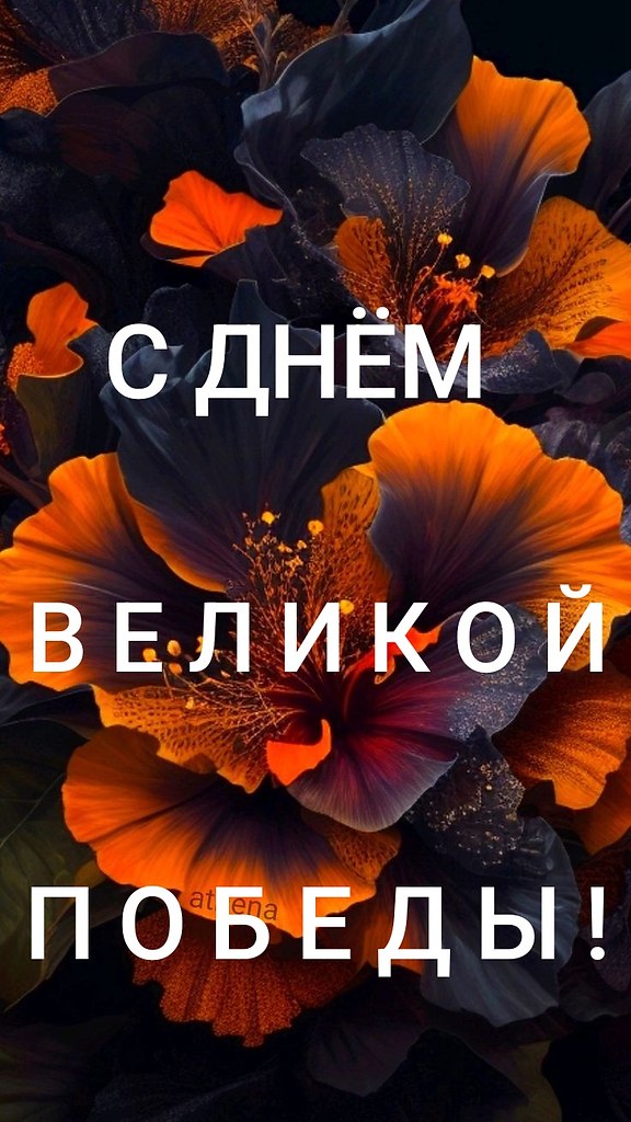 9 .,   ,  .    .,  ...