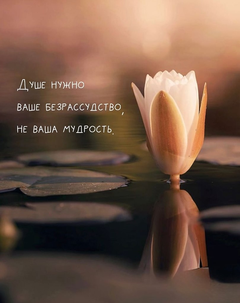  - 28  2025  15:07 - 7