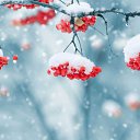���� �������, ������ - ��������� 7 ������� 2025 � ������ ������ ��������