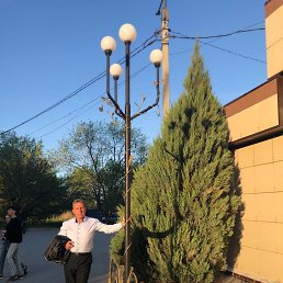 , 61, 