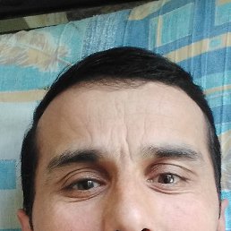 , 46 , -