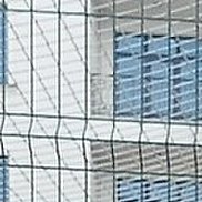 ����������, 63 ����, ���������