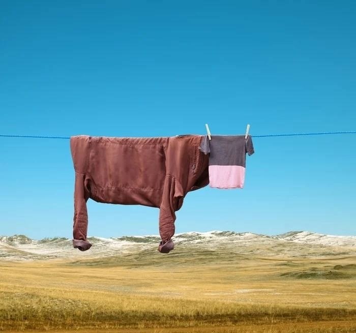         .    ... - 2