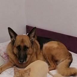  ., , 41  -  17  2023