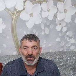 ���, 56 ���, ���������