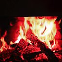 ���� ������, ������, 49 ��� - ��������� 12 ������ 2023 � ������ ���� ����������