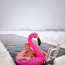 ���� ���������, �����, 59 ��� - ��������� 18 ������ 2026 � ������ ���� ����������