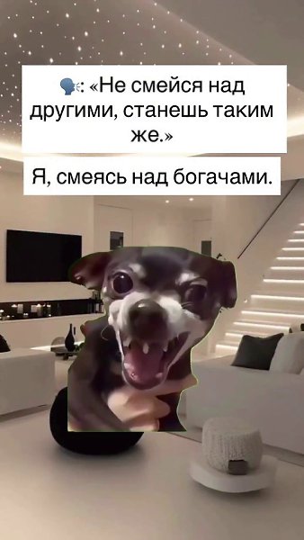 ������������������)