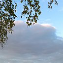 ���� �������, ���������, 62 ���� - ��������� 9 ���� 2024 � ������ ���� ����������