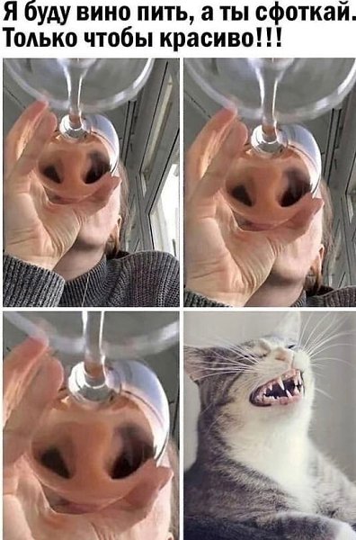  -  .