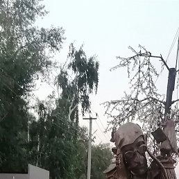 , 57, 
