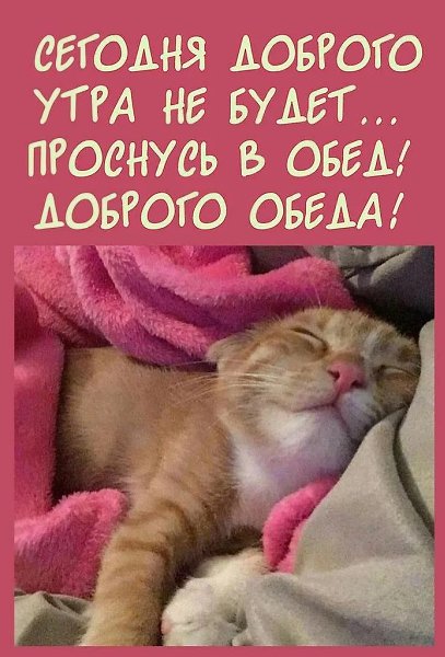 ��e����: �������, �����, �������, ����, ����, ������, ������, �������, ������, �����, �����, ����, ... - 9