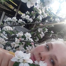  , , 28 