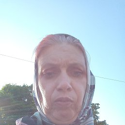 ���� �����, ����������-���������, 44 ���� - ��������� 16 ���� 2026
