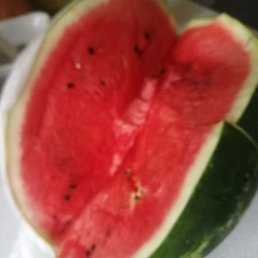 ������, �����-���������, 42 ����