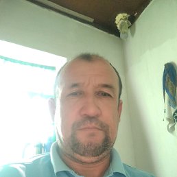 ���� ����, �������, 47 ��� - ��������� 29 ������� 2026