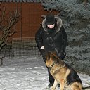 ���� ������., ������ - ��������� 18 ������� 2026 � ������ ���� ��������