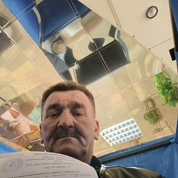 , 53,  