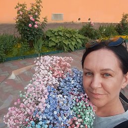 , 41, 