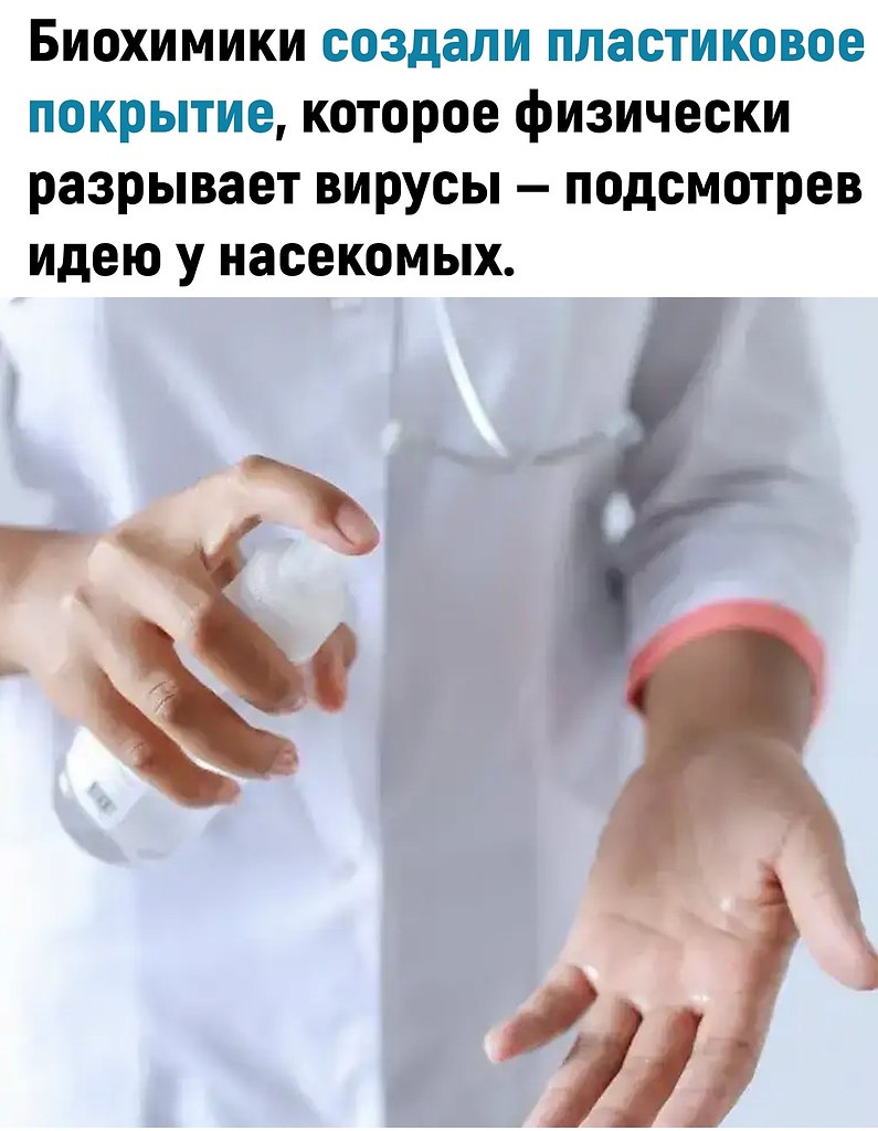 �����e pa�pa�o�a�� �o��� ��� �po���o��p�c�o�o �o�p����, ��o��o�����c� �p������ ���a� � c�pe�o�, ... - 2