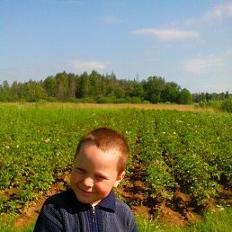 �����, ��������, 51 ���