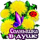 ���� �������, ���������� - ��������� 10 ���� 2026 � ������ ������ ��������