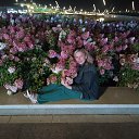 ���� �����, ���������, 44 ���� - ��������� 23 ������ 2026