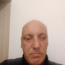  , 41, 