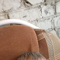 , 58, 