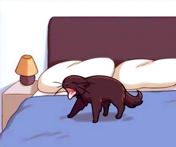Ни что так не бодрит с утра, как звук блюющего кота - 6