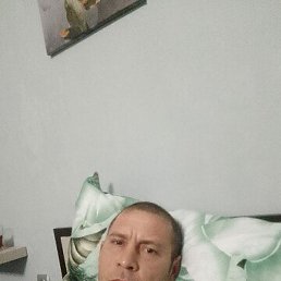 , , 41 