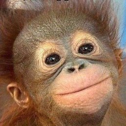 �����, ������, 64 ����