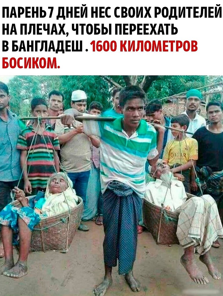       ,    .