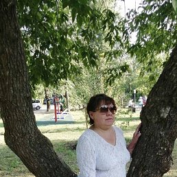 , 53, 