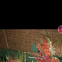 ���� ����, ���������, 59 ��� - ��������� 7 ��� 2024 � ������ ���� ����������