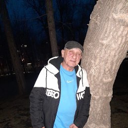 , 61, 