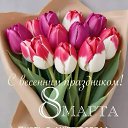 ���� �����, ��������� - ��������� 11 ����� 2026