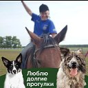 ���� ����, ����, 62 ���� - ��������� 20 ������ 2026