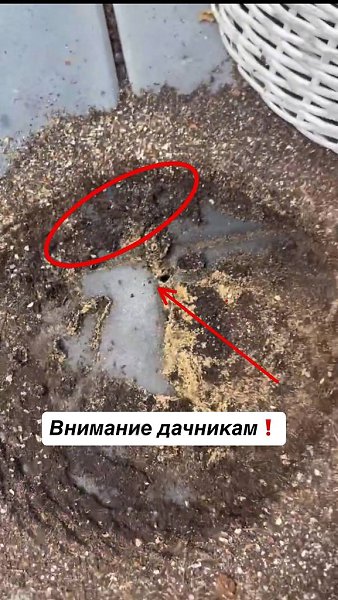�������� ���� ��������! ���� �� �������. �������� ����� ��������� �������� � ��� ��� ��������� ... - 2
