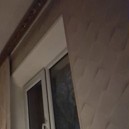 �����, �������, 40 ���