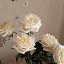 ���� ����, ��������� - ��������� 13 ������� 2025 � ������ ���� ����������